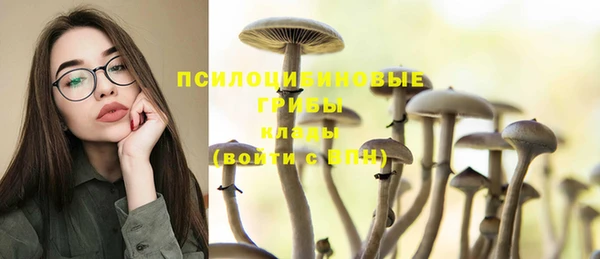 молекула духа Бородино