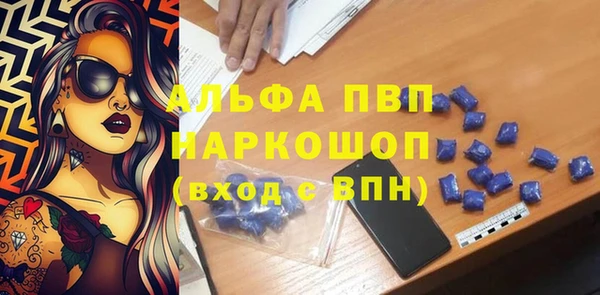 молекула духа Бородино