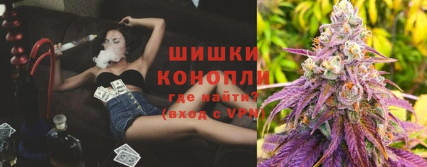 молекула духа Бородино