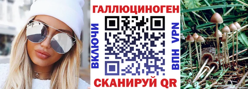 blacksprut рабочий сайт  магазин продажи   Новоржев  Галлюциногенные грибы Cubensis 
